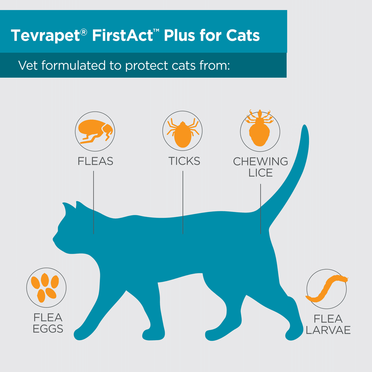 00011 FirstAct-PAW-Protect