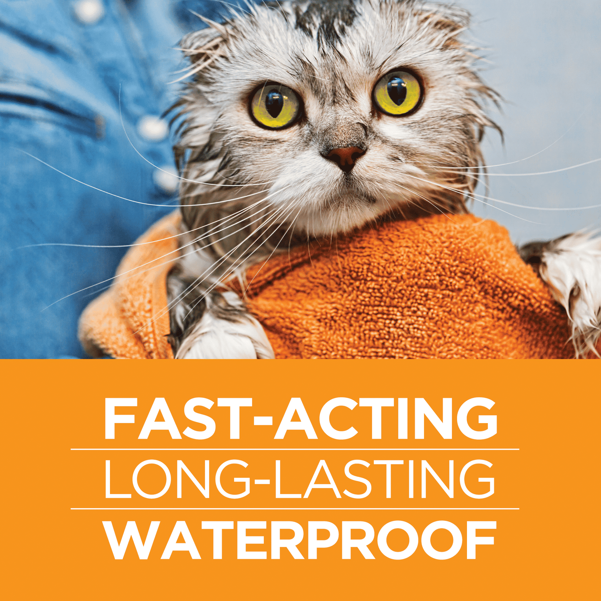 00011 FirstAct-PAW-Waterproof