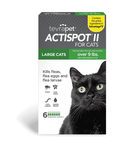 00071 TP Actispot Cat over 9 front NEW HERO