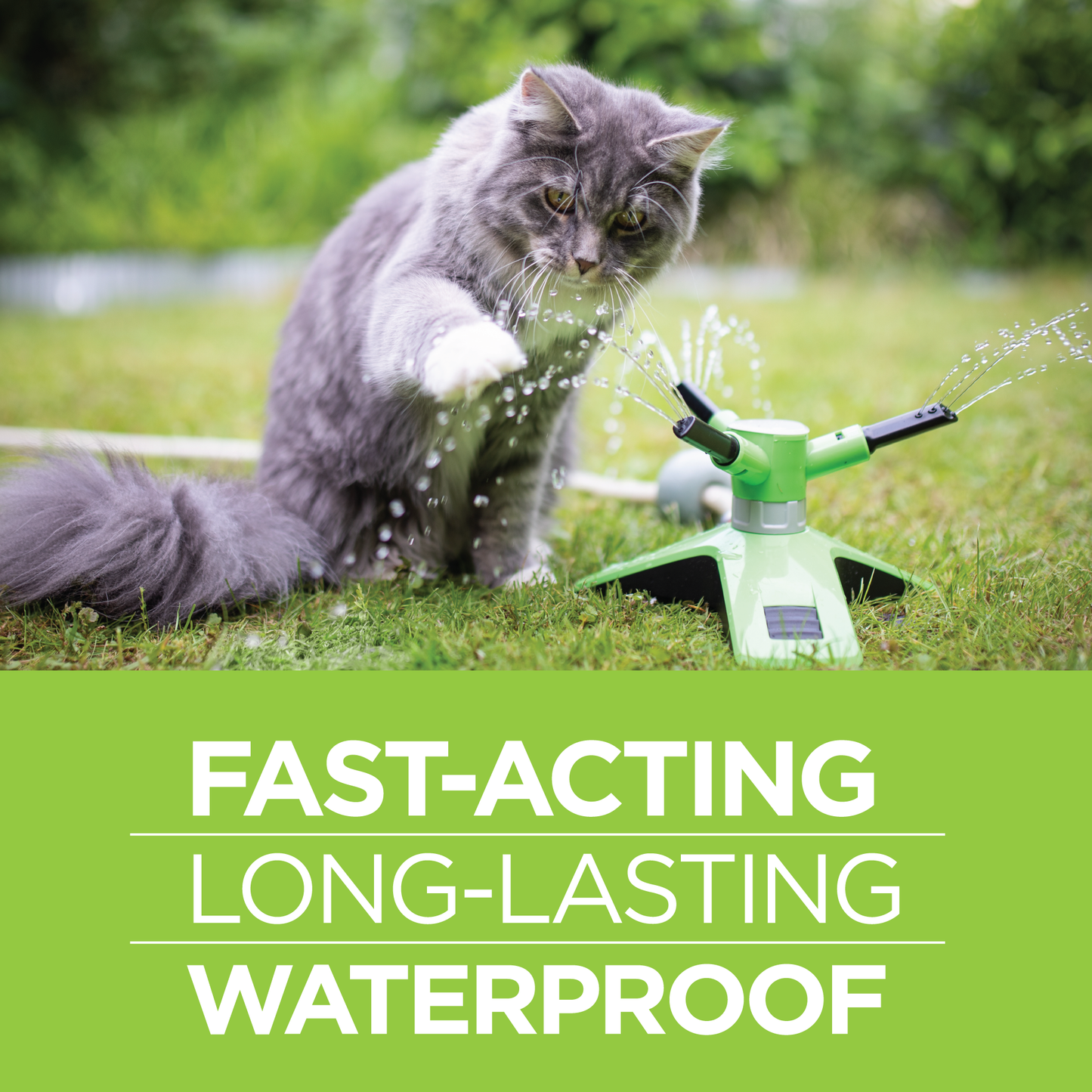 25011-Vet-Firstect-Plus-Cat-Waterproof