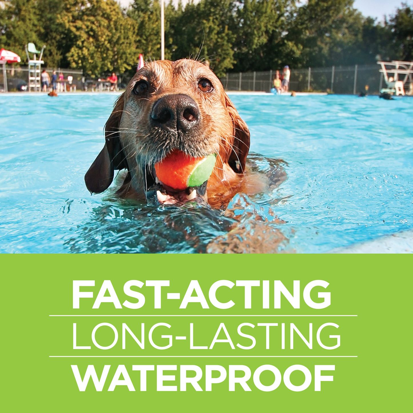 25013-Vet-Firstect-Plus-23-44lbs-Waterproof