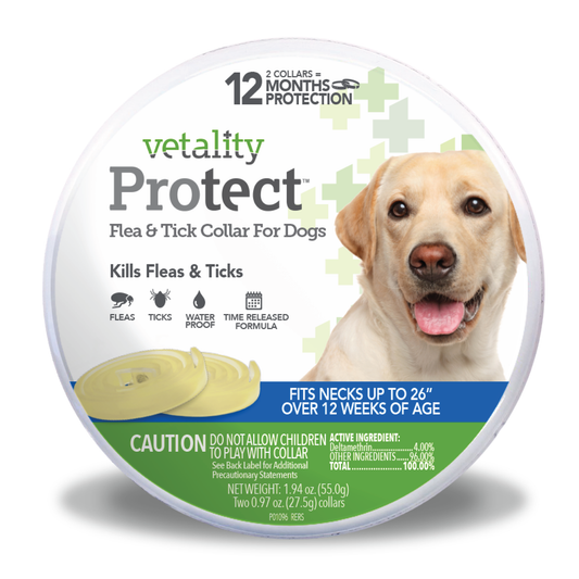 25031-Vet-Protect-Collar-for-Large-Dog