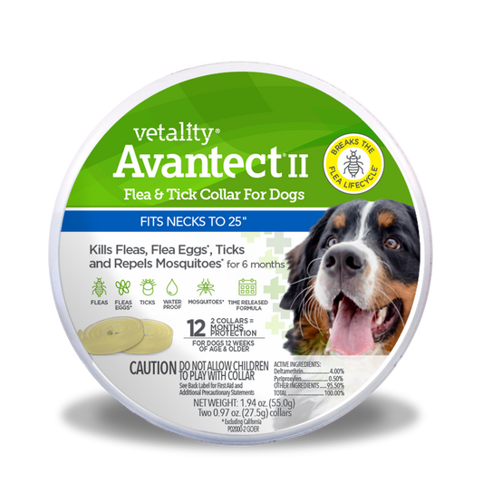 25048 Avantect FT Collar no blister Dogs_fits necks to 26 inches