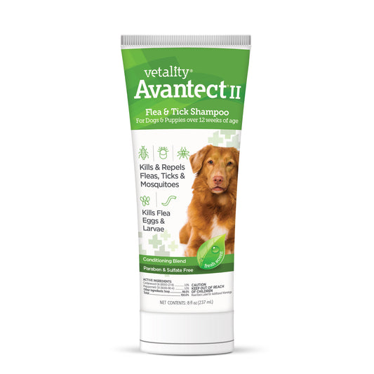 25050-Vet-AvantectShampoo-for-Dogs-FRONT