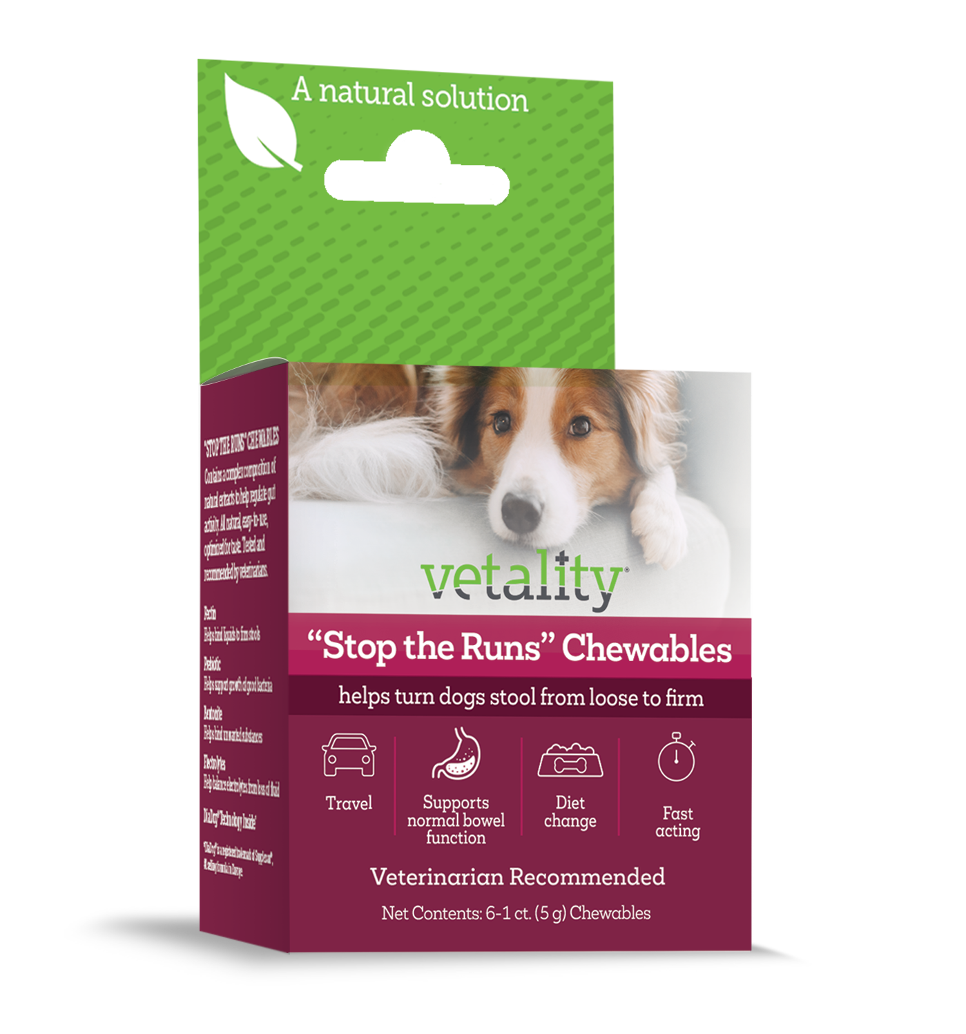 30003 Vet Stop the Runs Chewable 6 ct