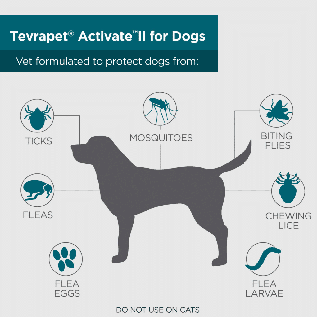 Activate-Protect-Dogs-Amazon-002_Page_1-1021x1024