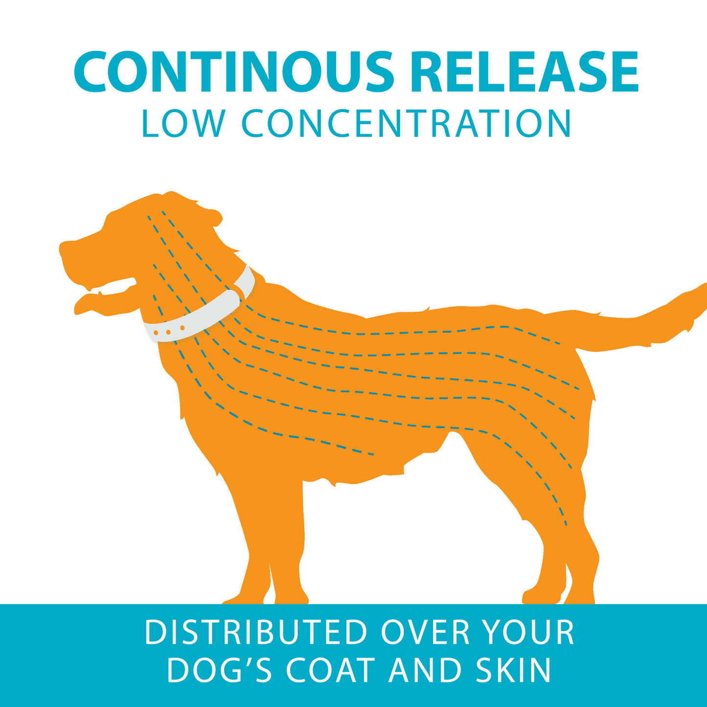 Amazon-ProAct-Collar-Continous-Protection