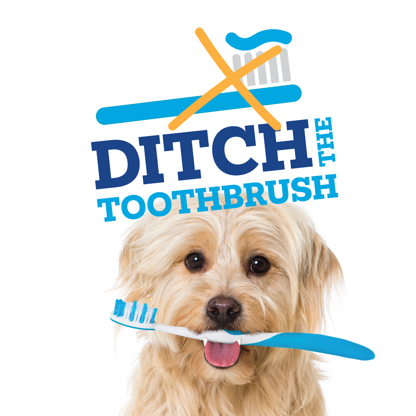 Brush-Free-Daily-Dental-Chews-PAW-Ditch-the-Brush