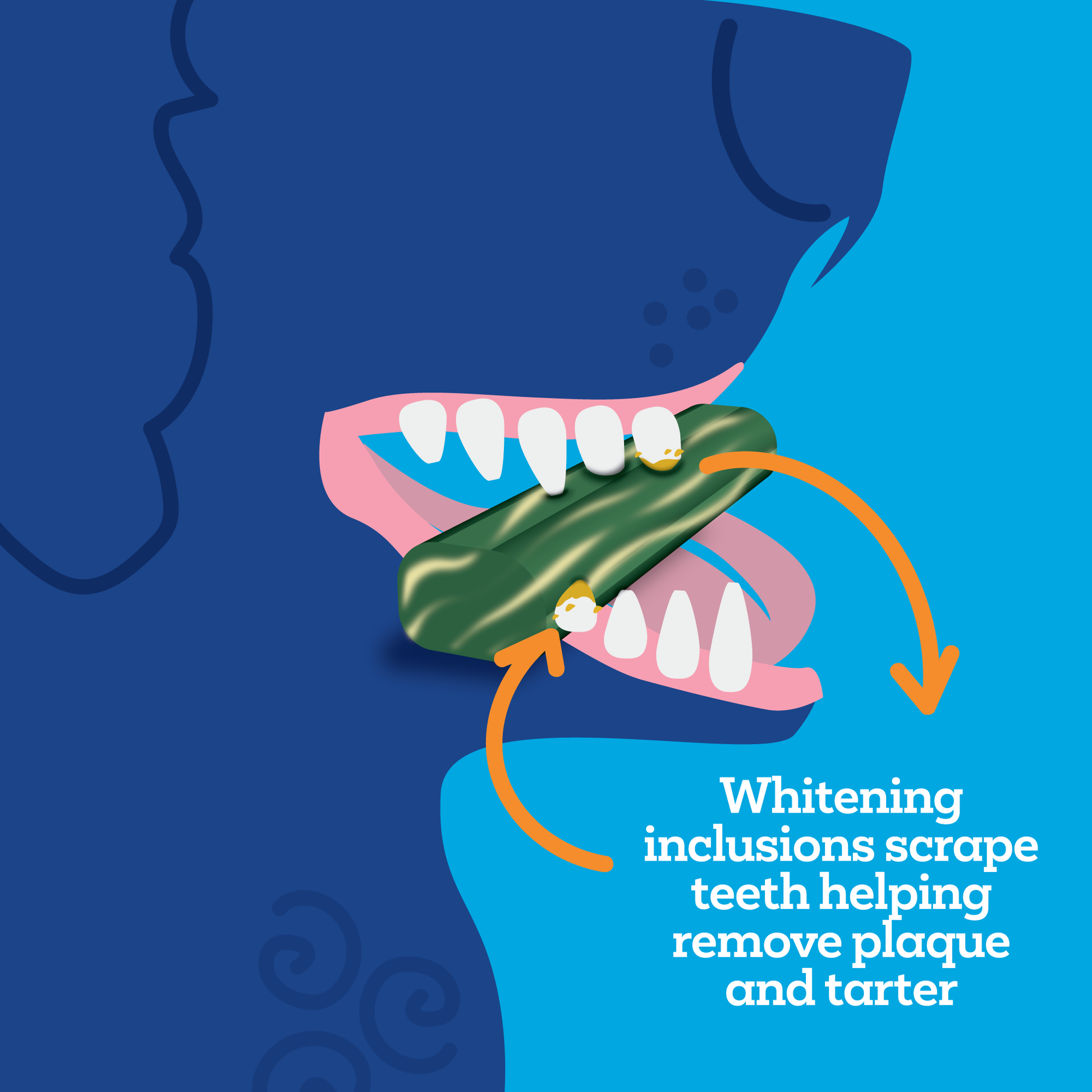 Brush-Free-Daily-Dental-Chews-PAW-Dog-Illustration