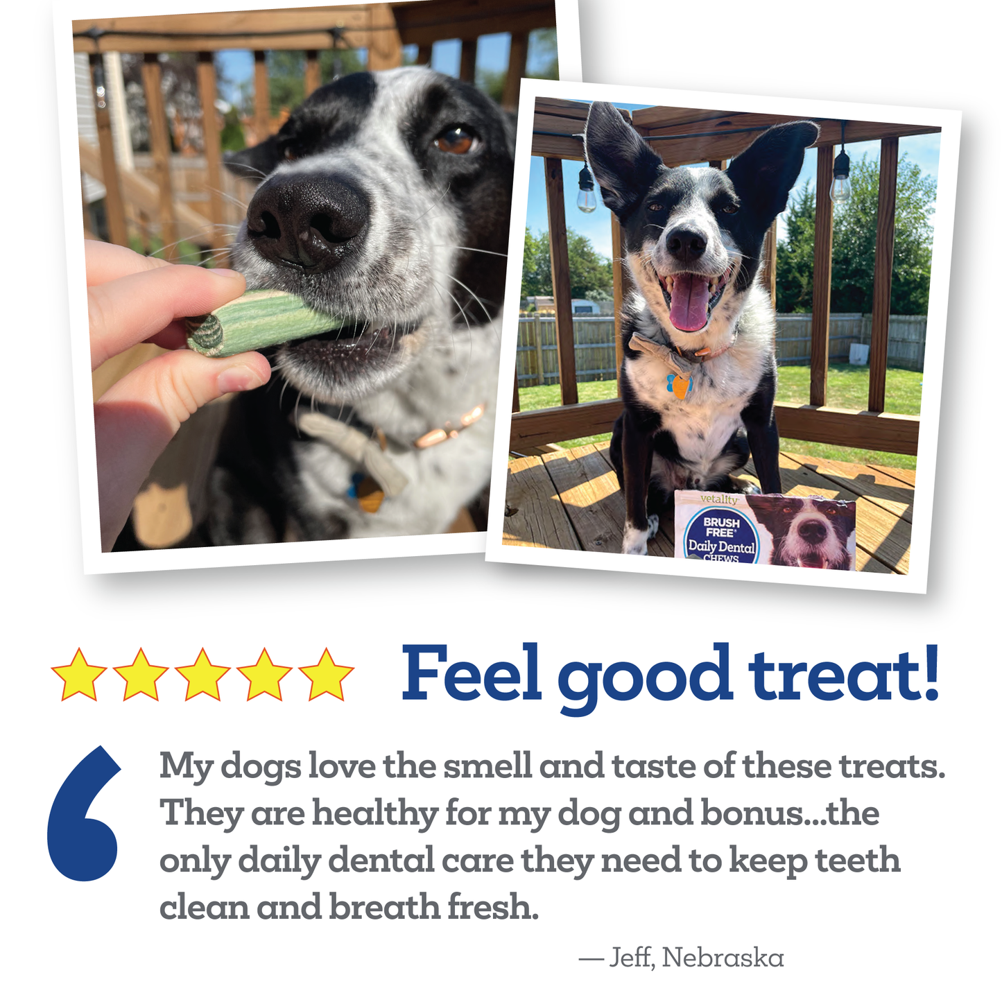 Brush-Free-Daily-Dental-Chews-PAW-Testimonial