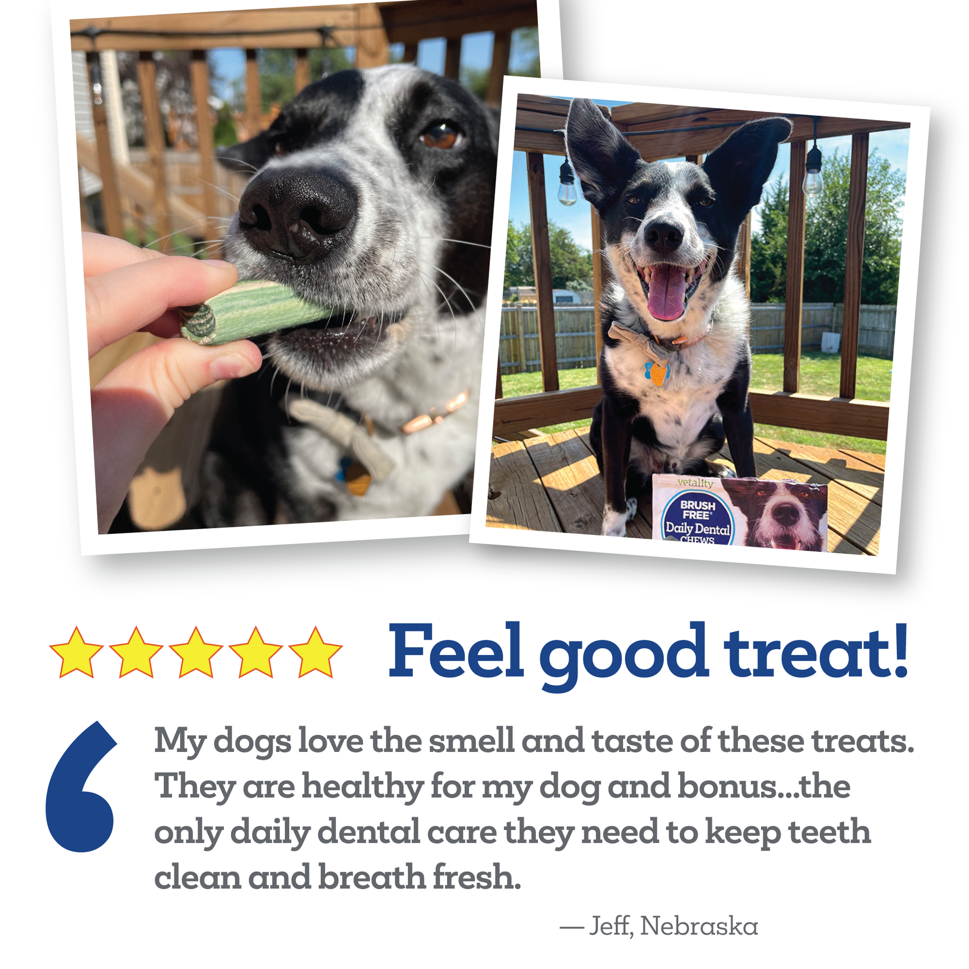 Brush-Free-Daily-Dental-Chews-PAW-Testimonial