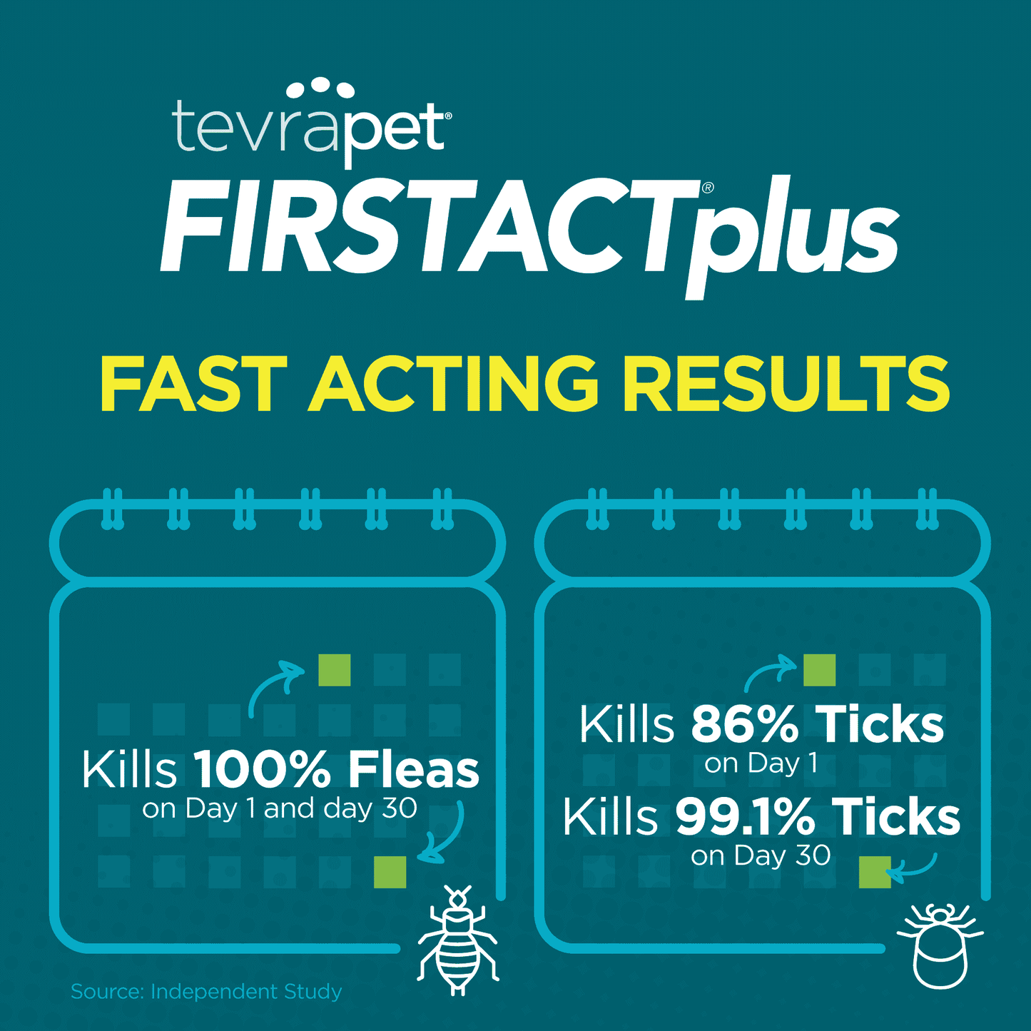 Fast-Acting-PAWs-FirstAct