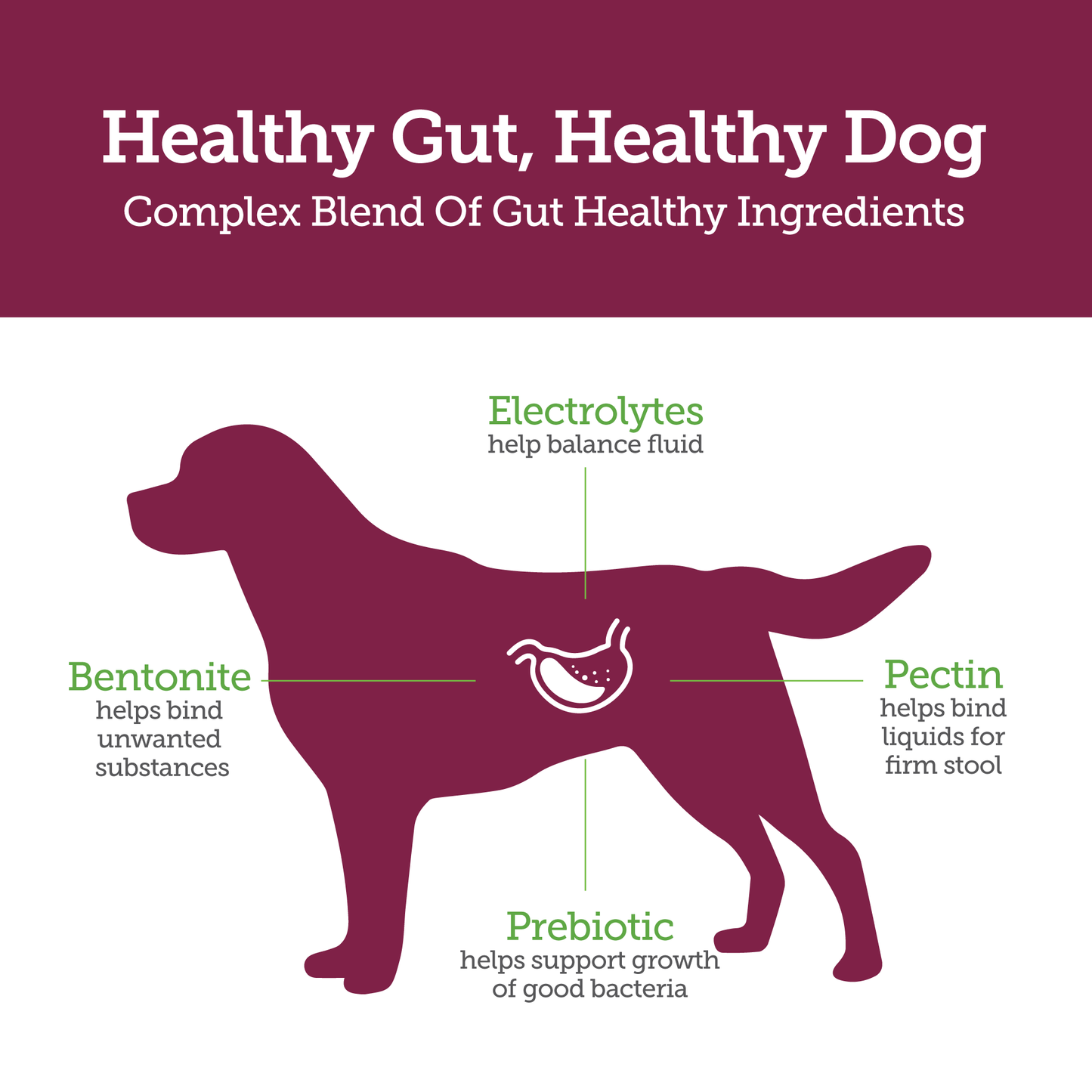 Stop-the-Runs-Healthy-Gut