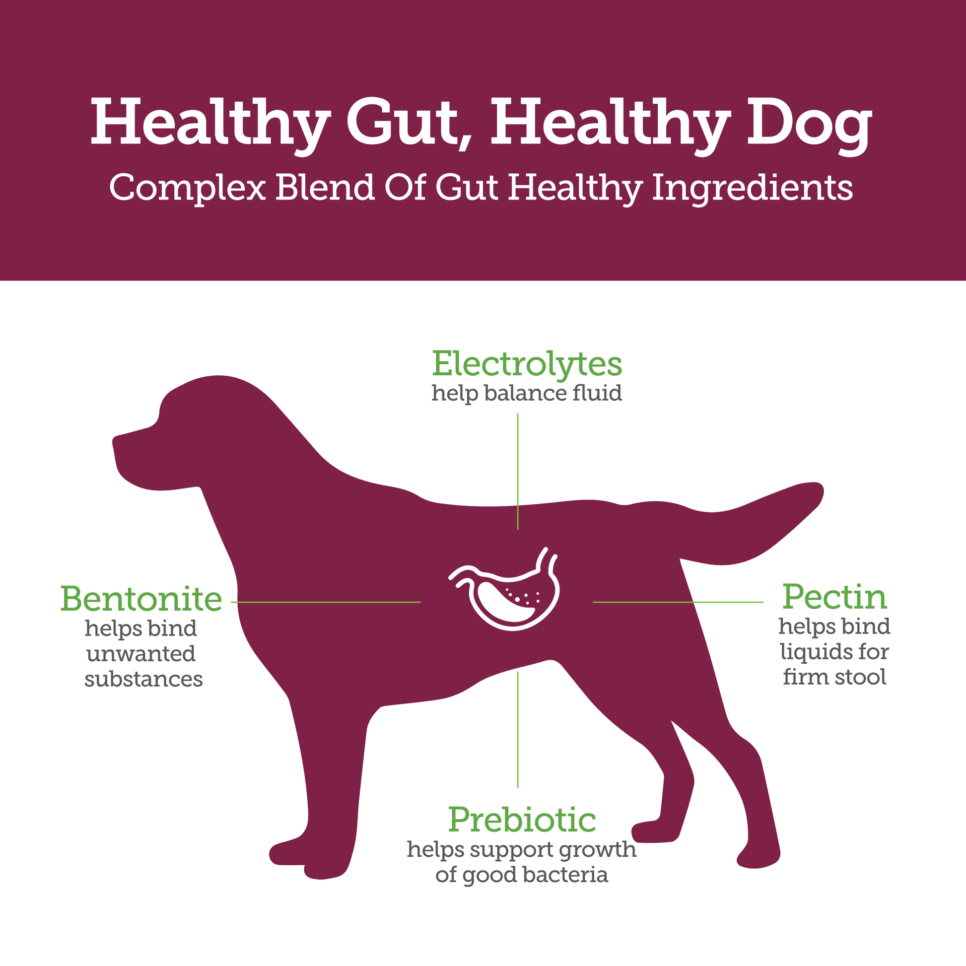 Stop-the-Runs-Healthy-Gut