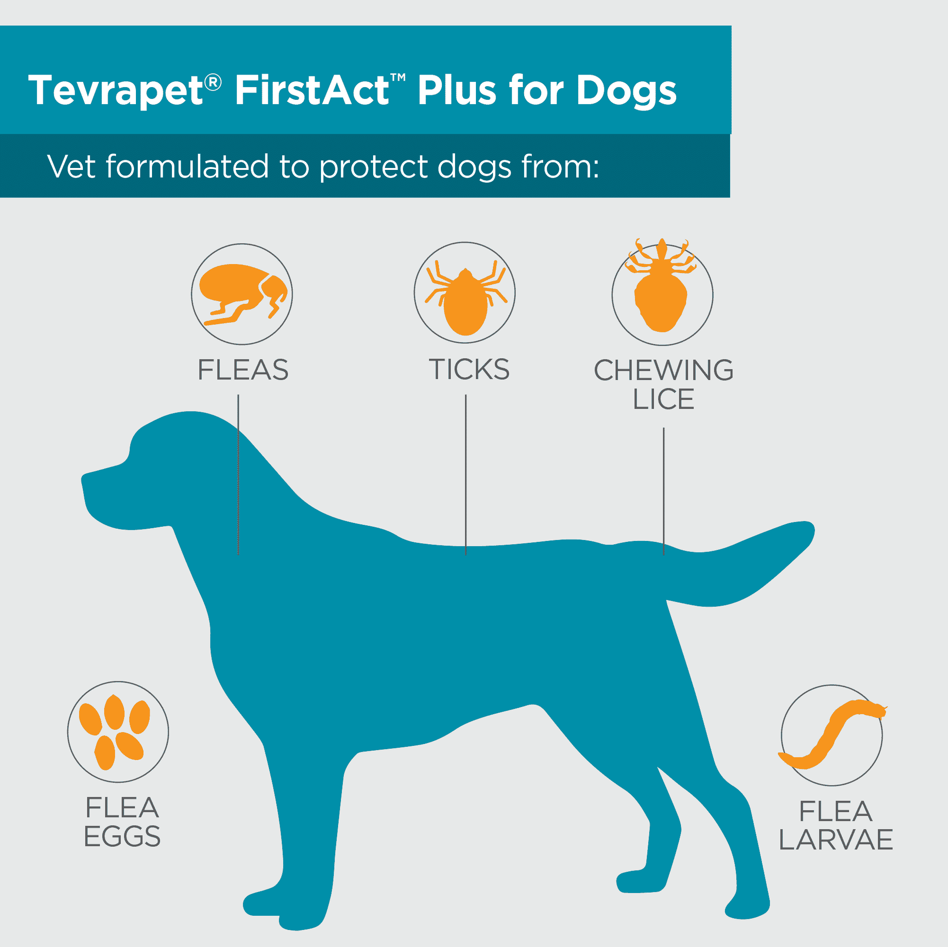 TP FirstAct Dog Silhouette