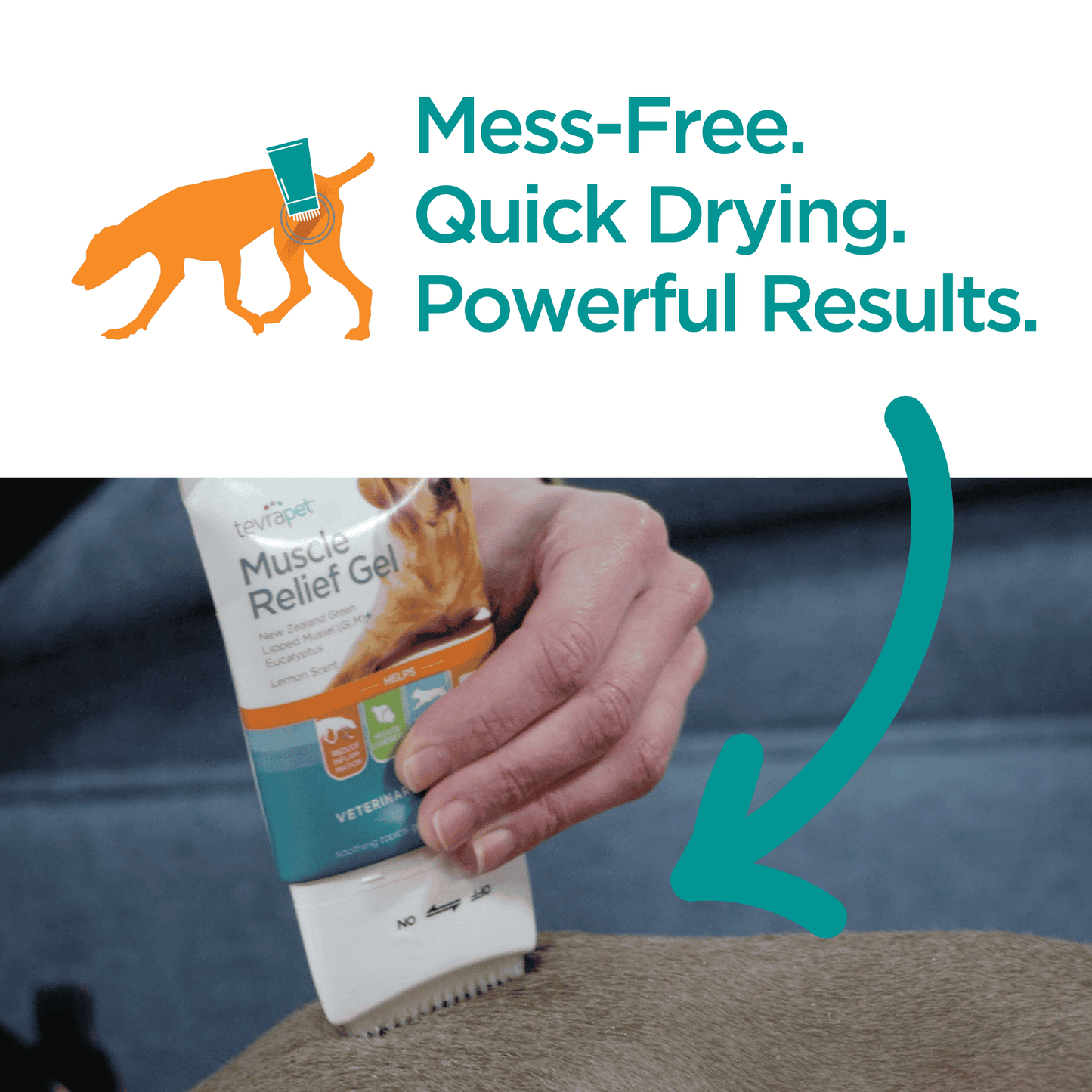 TP-Muslce-Relief-Application