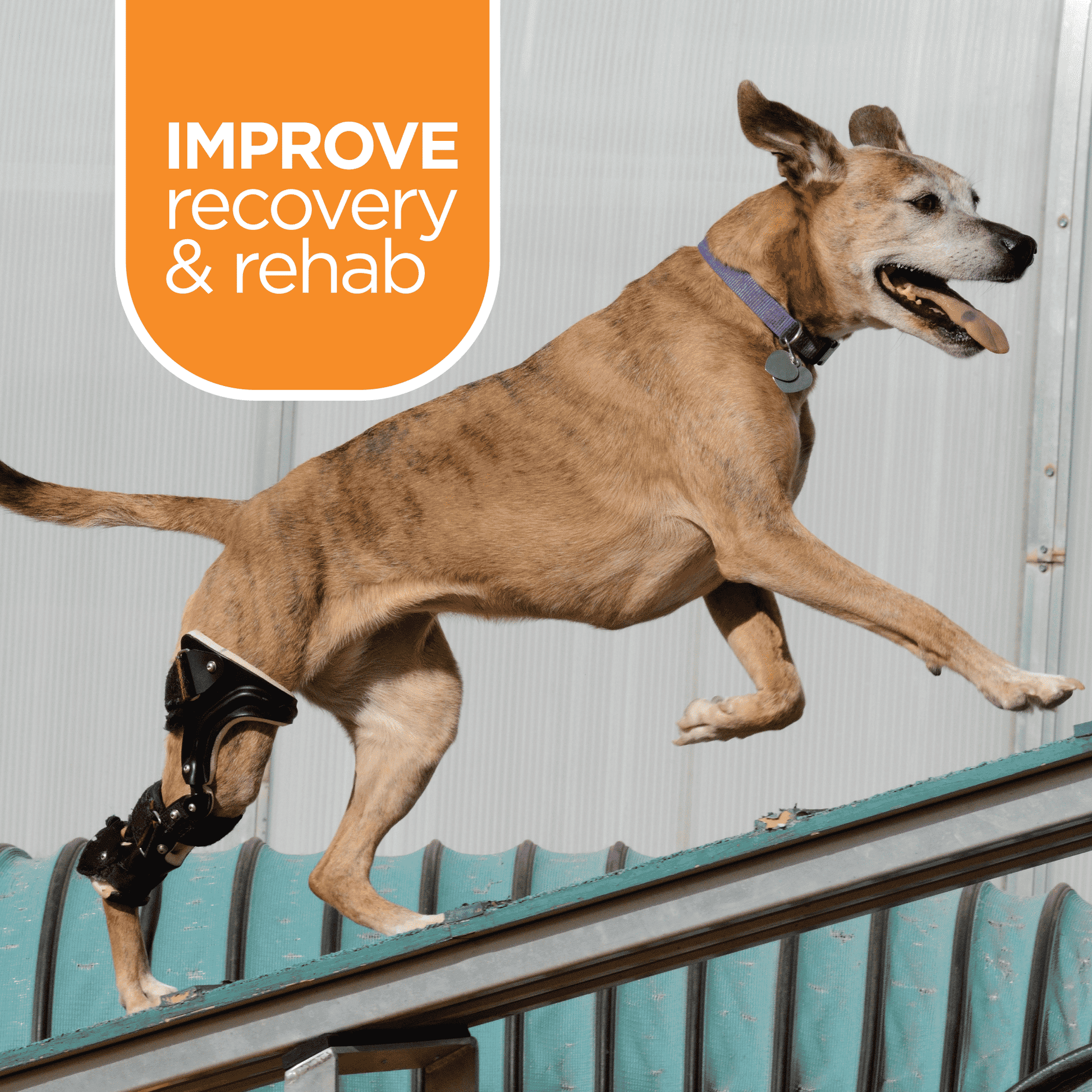 TP-Muslce-Relief-Improve-Recovery