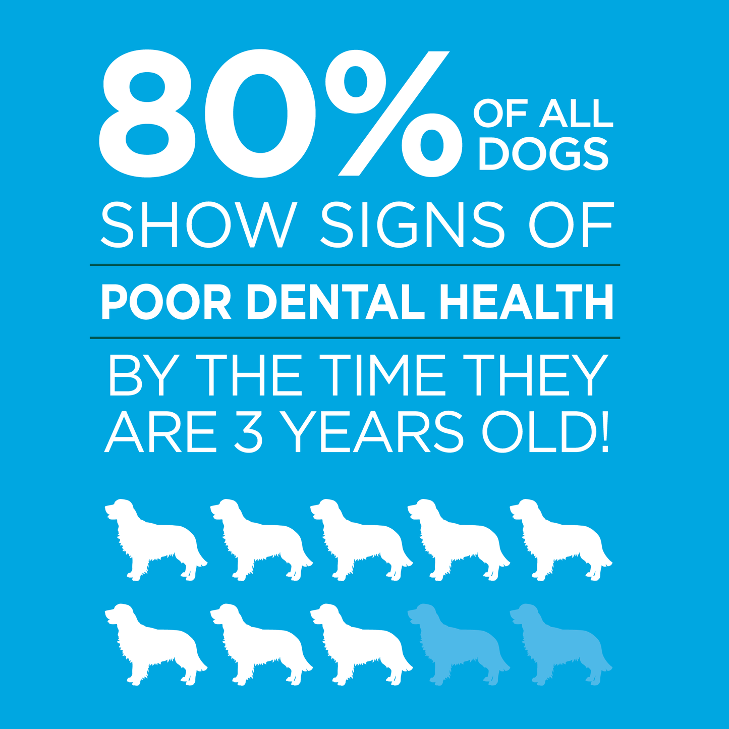 Vet-Brush-Free-Oral-Gel-80