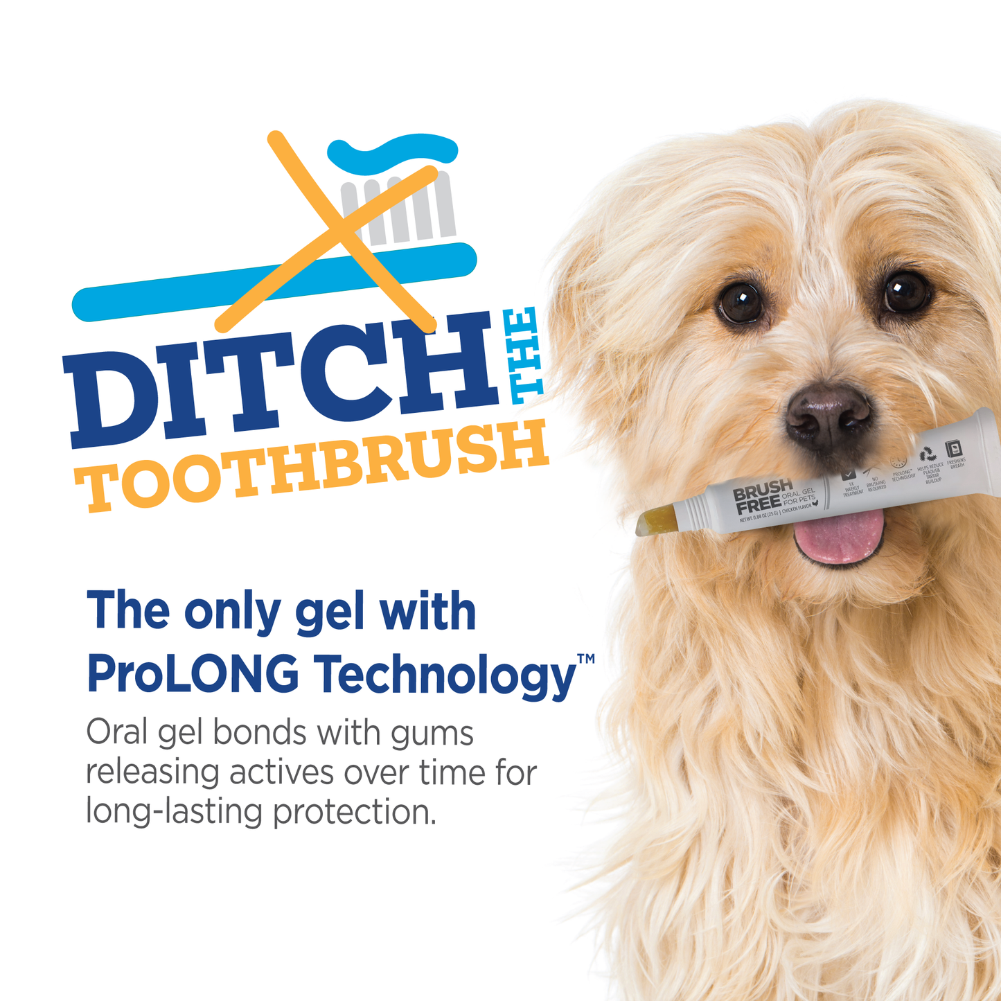 Vet-Brush-Free-Oral-Gel-Ditch