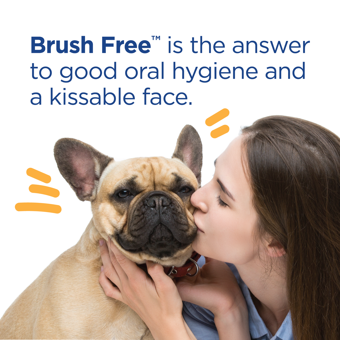 Vet-Brush-Free-Oral-Gel-Kissable