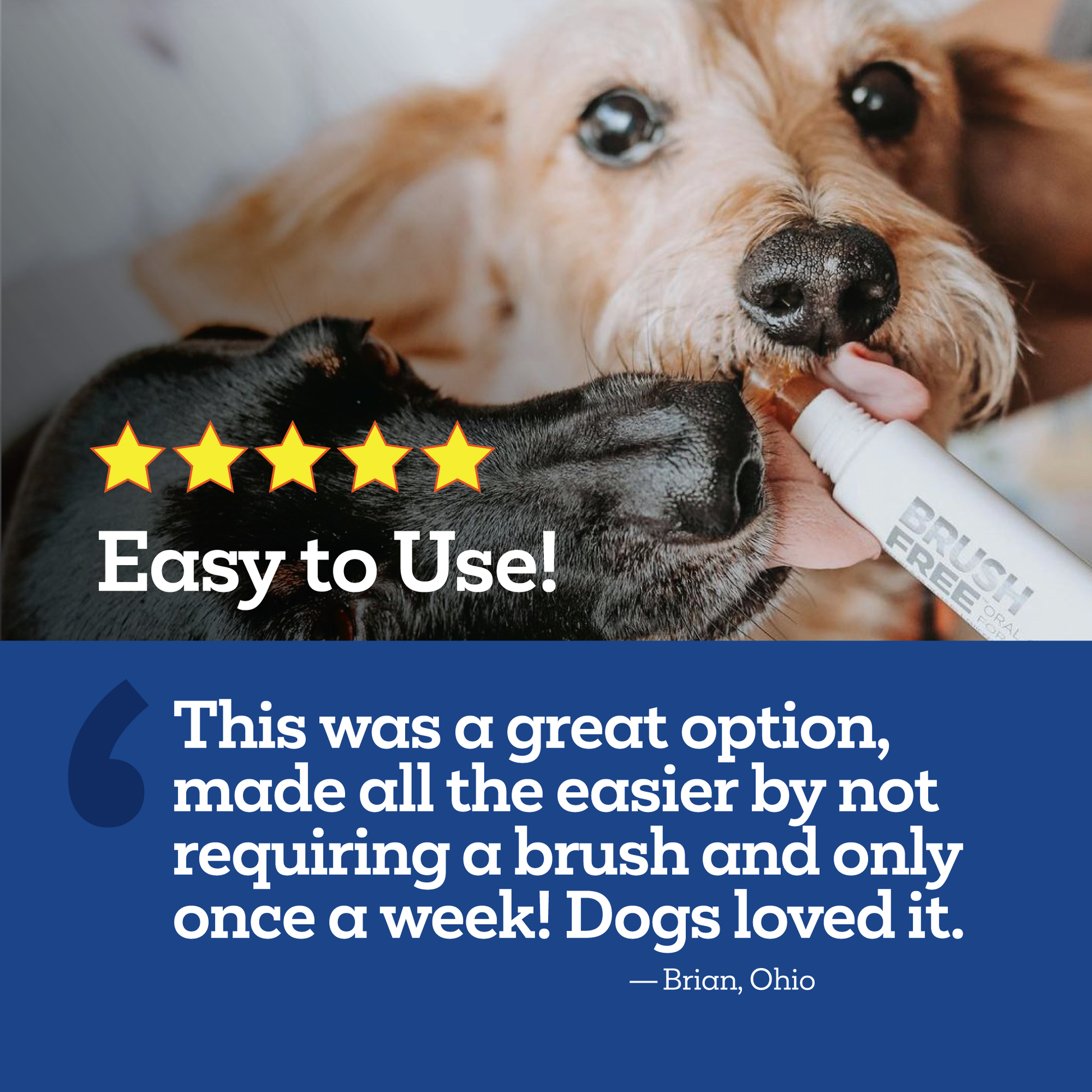 Vet-Brush-Free-Oral-Gel-Testimonial