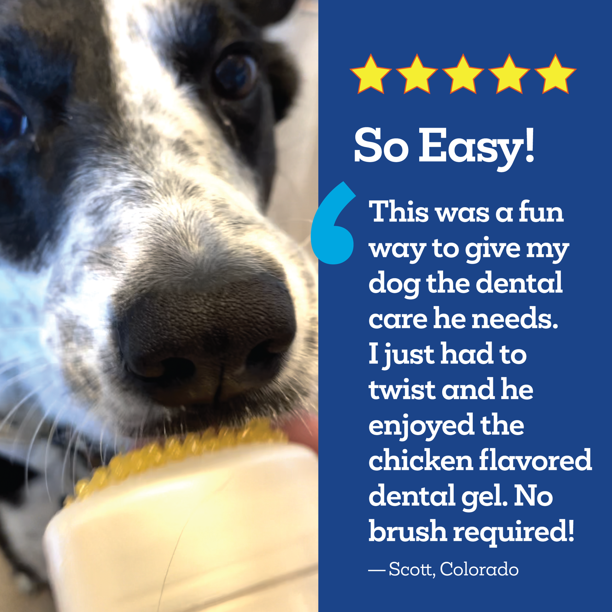 Vet-Brush-Free-Twist-and-Lick-Testimonial