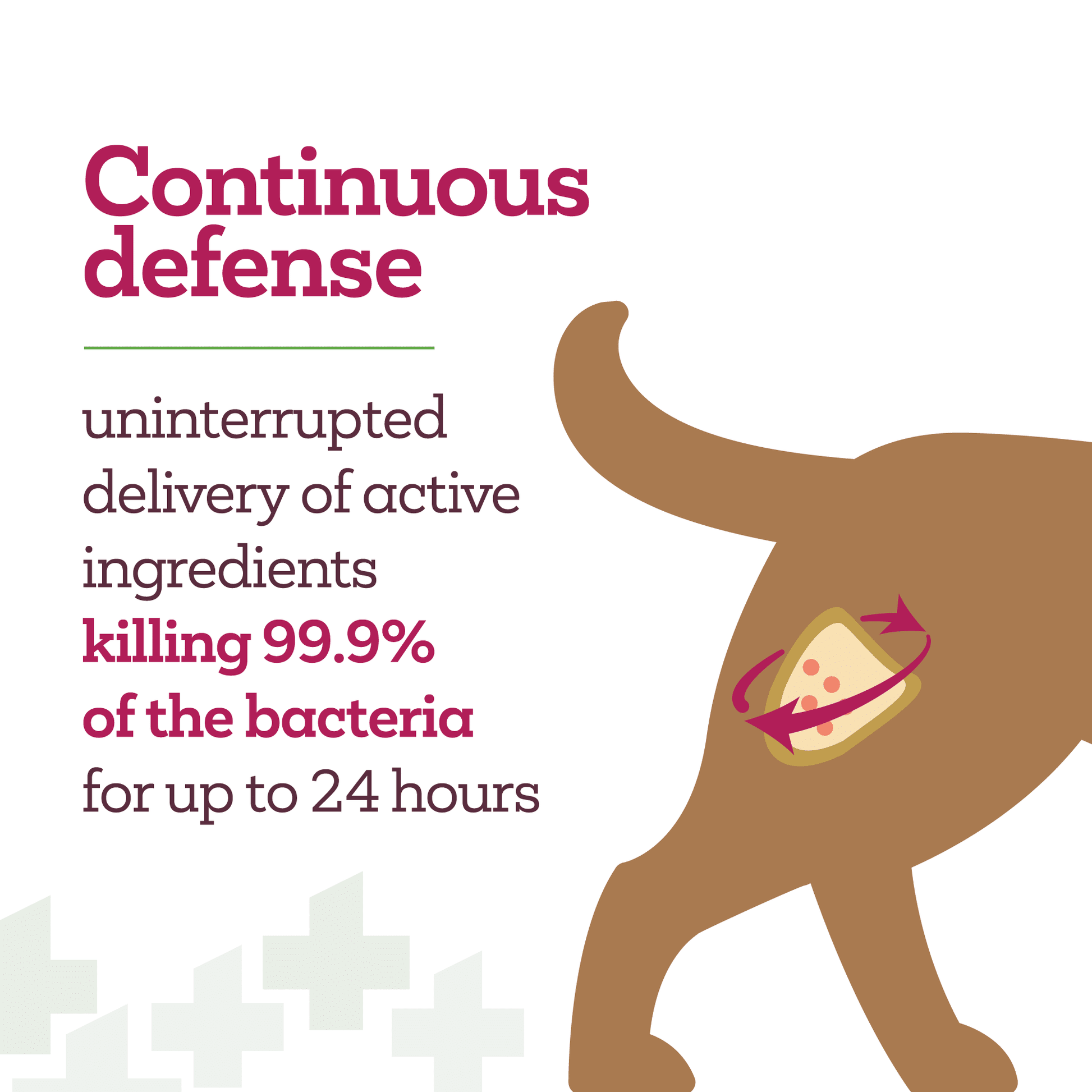 Vet-Hot-Spot-PAW-Continuous-Defense