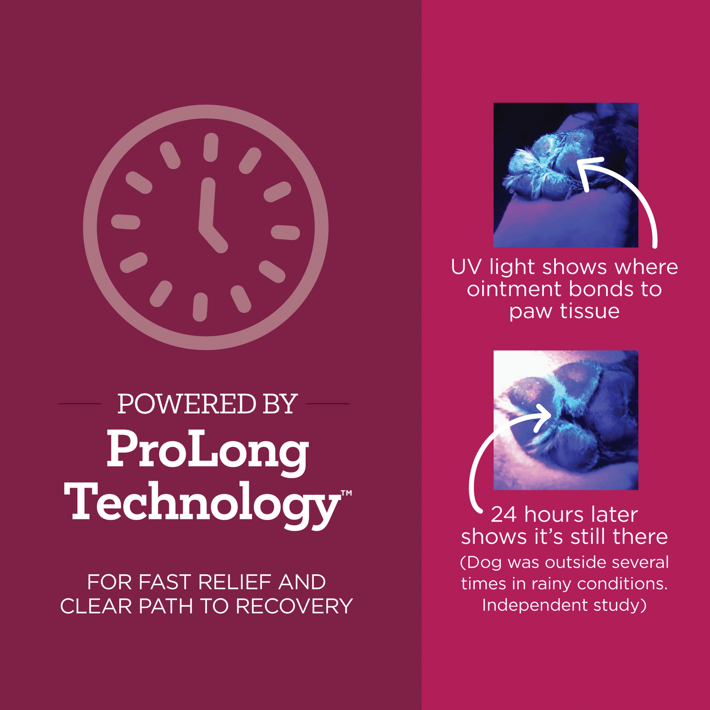 Vet-Hot-Spot-PAW-ProLong