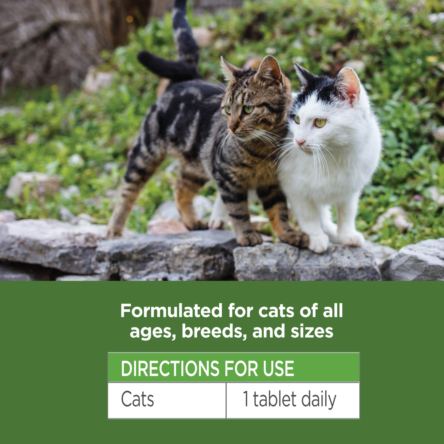 Vet-Naturals-Oral-Chews-Cat-Directions-for-Use