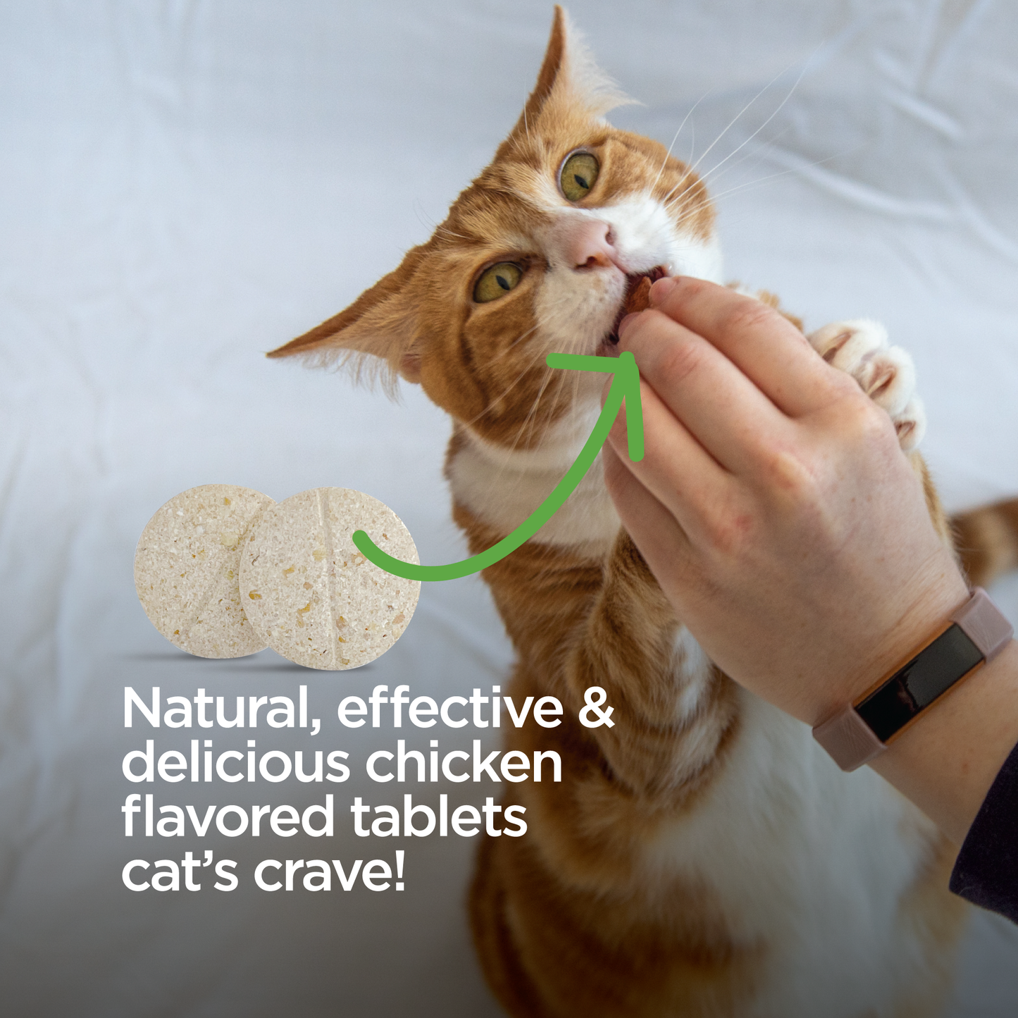 Vet-Naturals-Oral-Chews-Cat-Natural-and-Effective