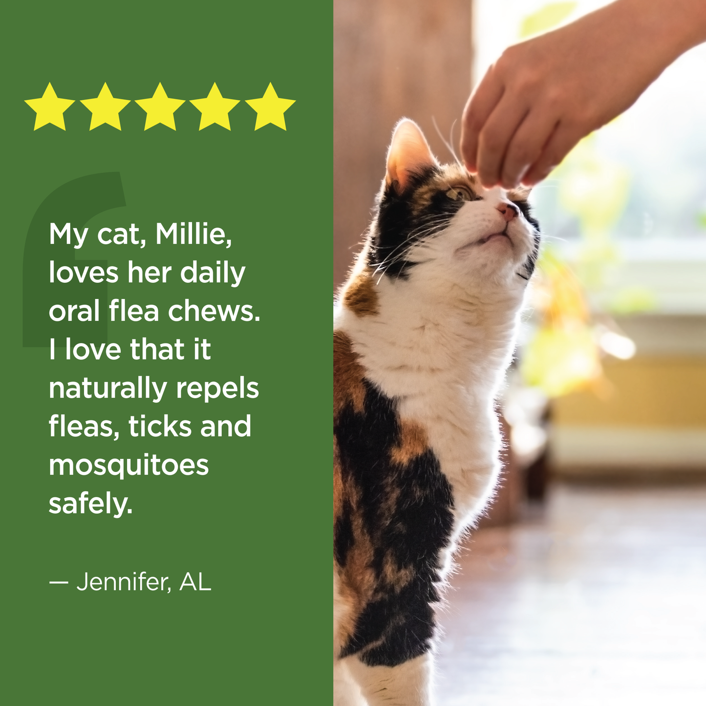 Vet-Naturals-Oral-Chews-Cat-Testimonial