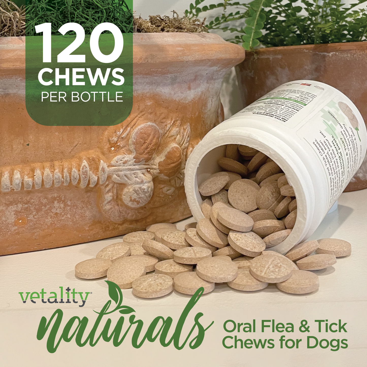 Vet-Naturals-Oral-Chews-Dog-120-chews