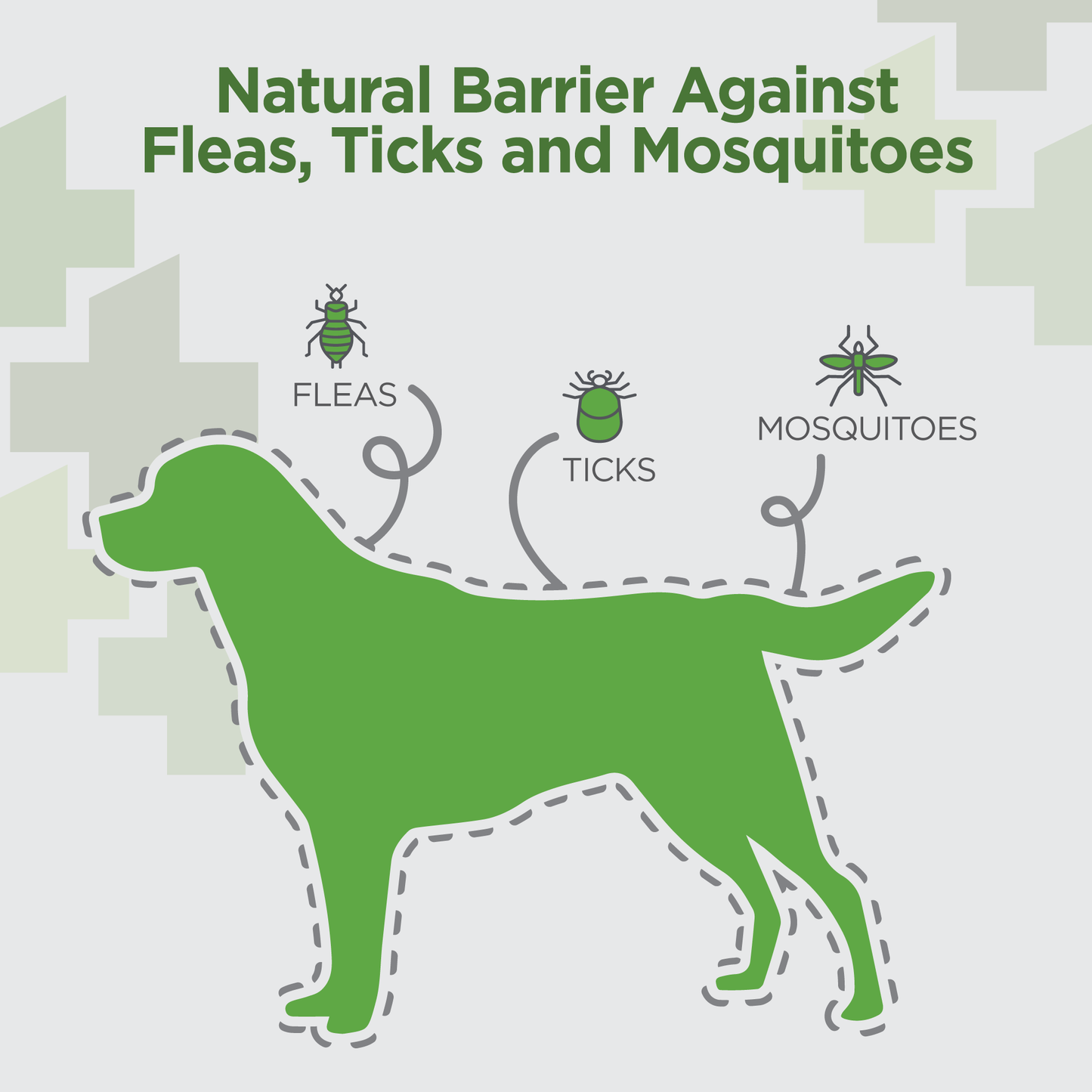 Vet-Naturals-Oral-Chews-Dog-Barrier