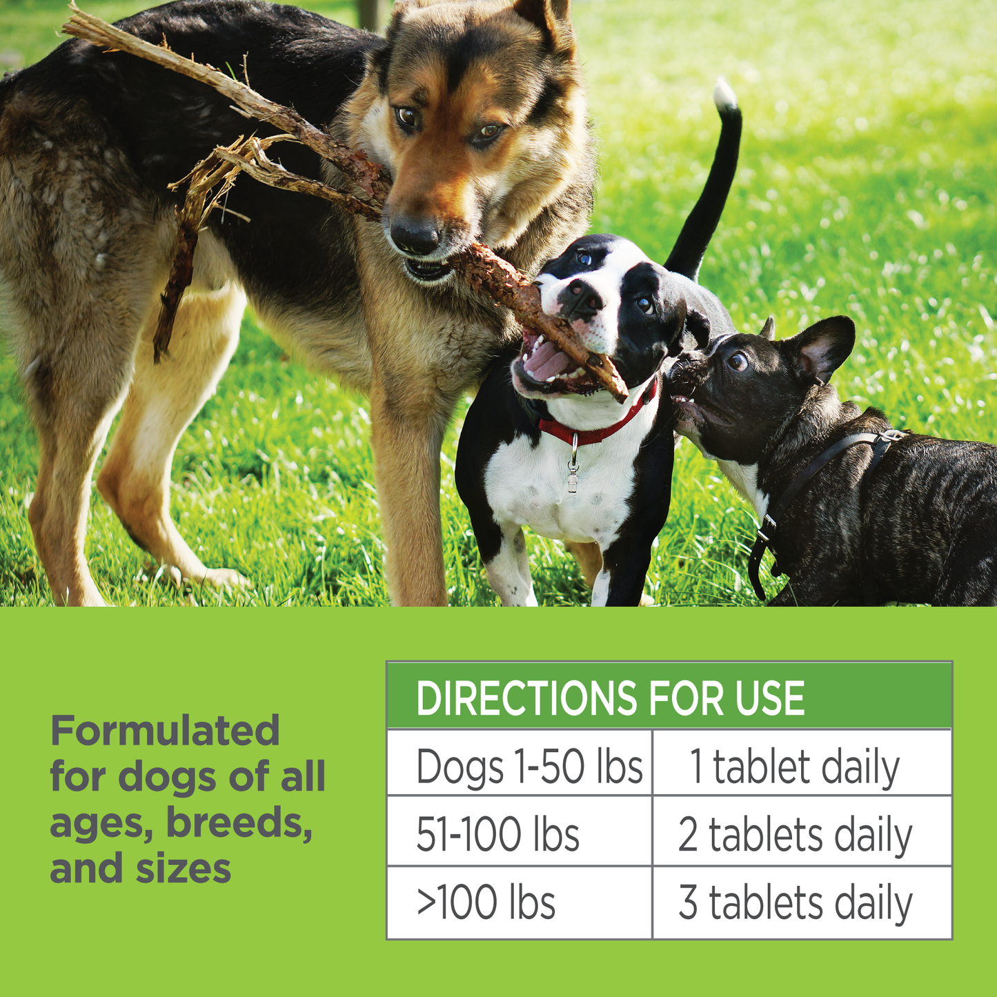 Vet-Naturals-Oral-Chews-Dog-Dosage