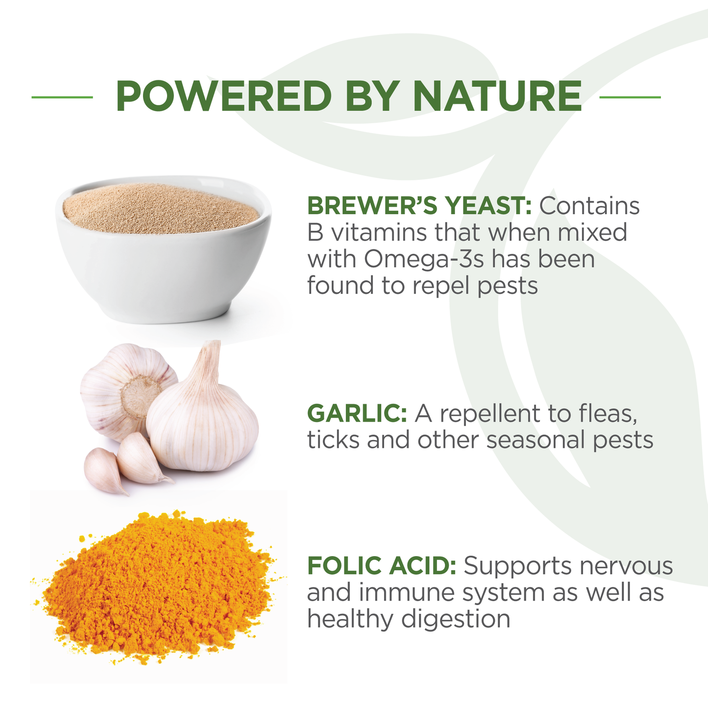 Vet-Naturals-Oral-Chews-Dog-Powered-By-Nature