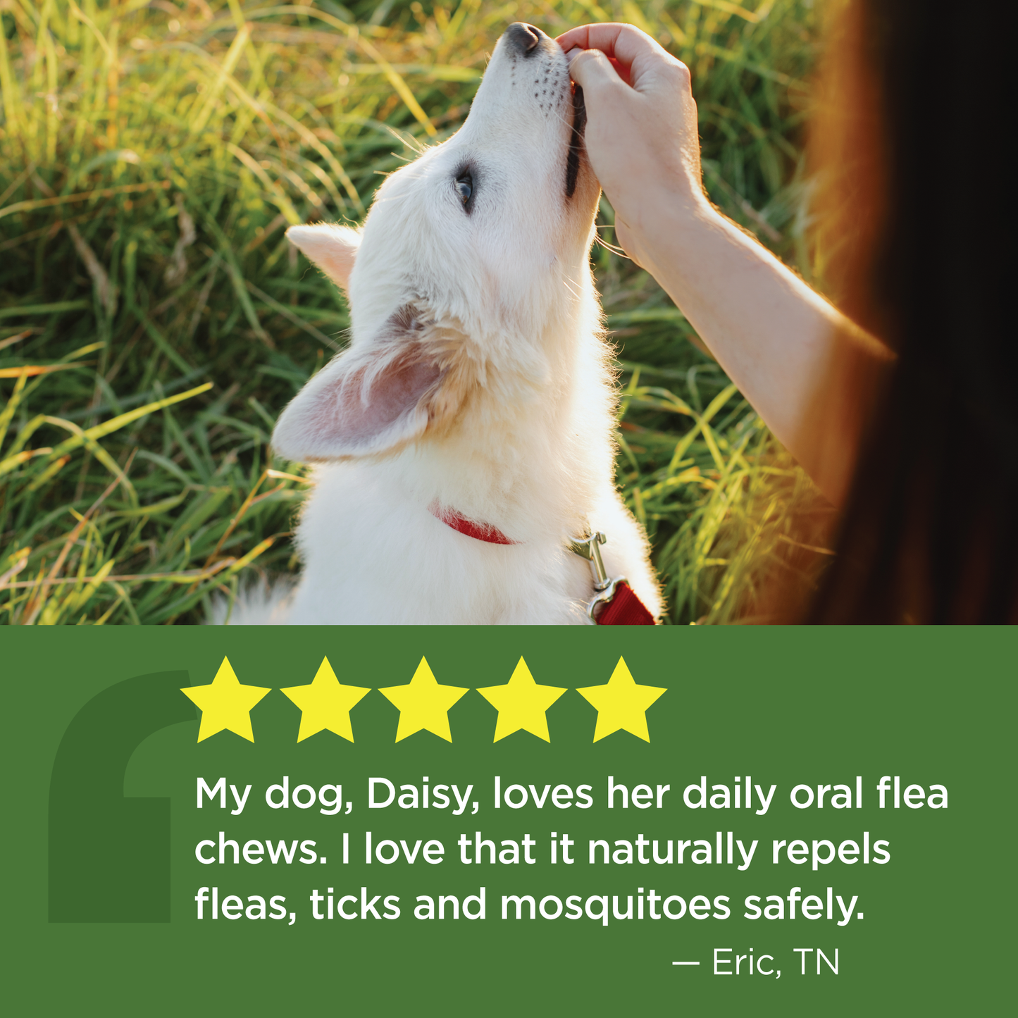 Vet-Naturals-Oral-Chews-Dog-Testimonial