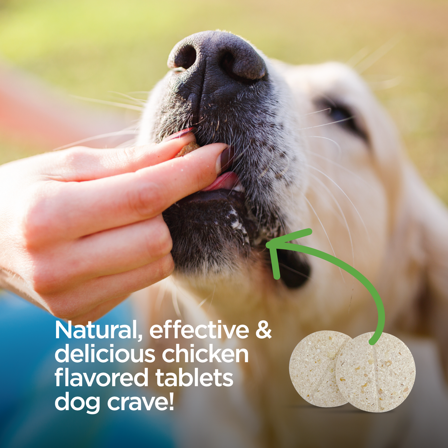Vet-Naturals-Oral-Chews-Dog-Treat