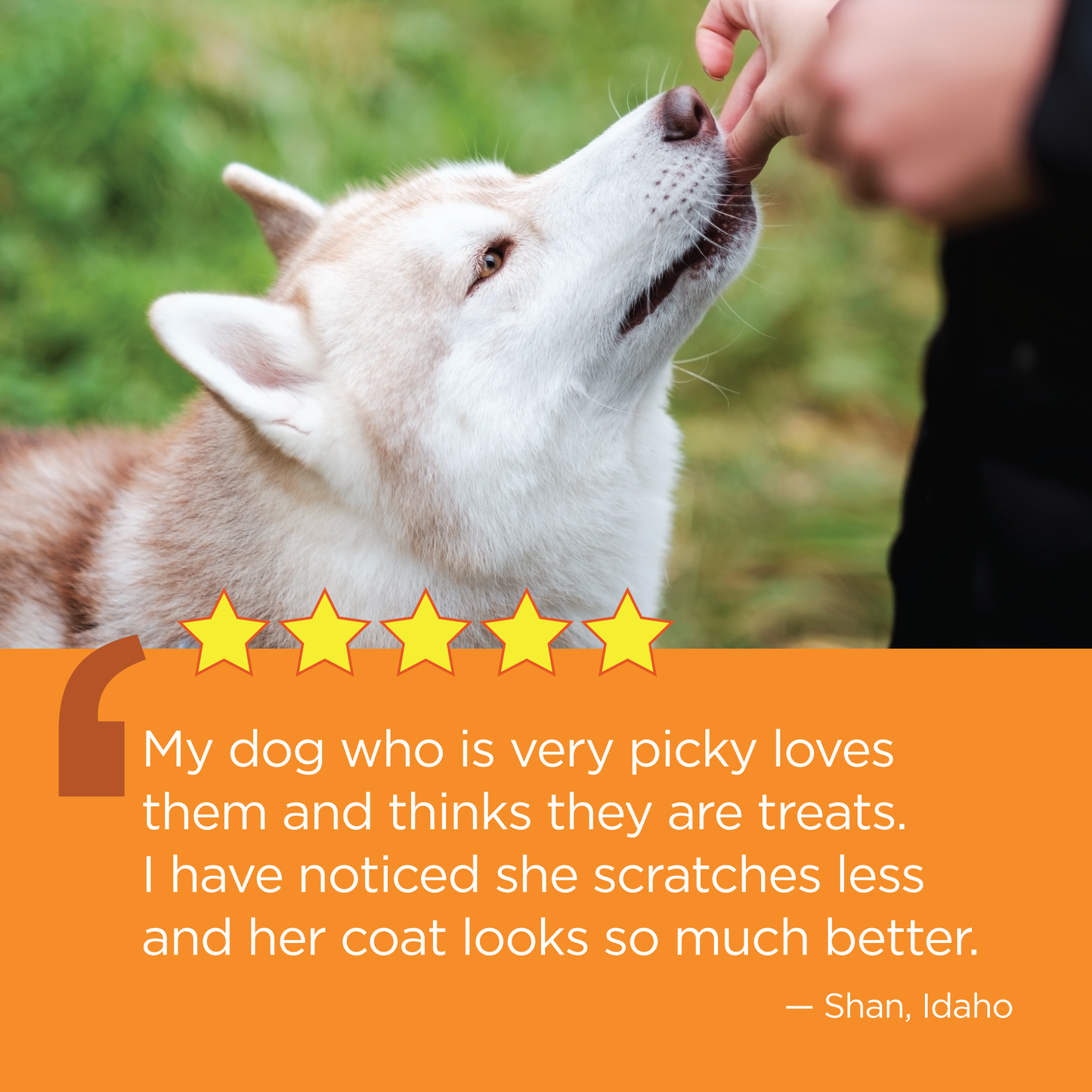 Vetality-Aller-Immune-Well-Chews-Testimonial