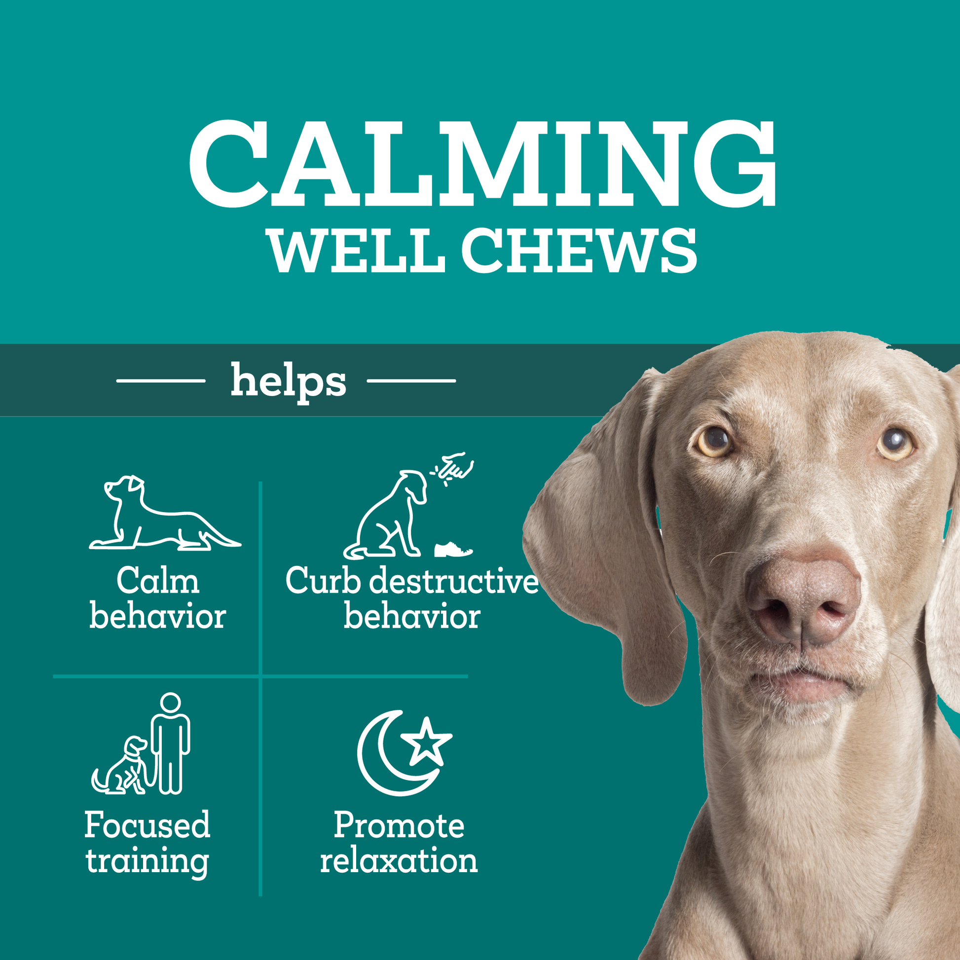 Vetality-Calming-Well-Chews-Benefits