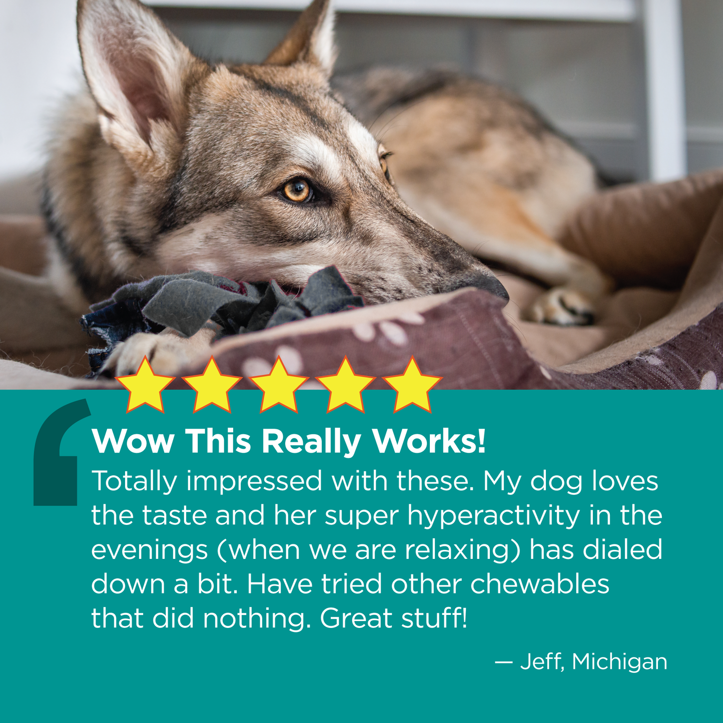 Vetality-Calming-Well-Chews-Testimonial