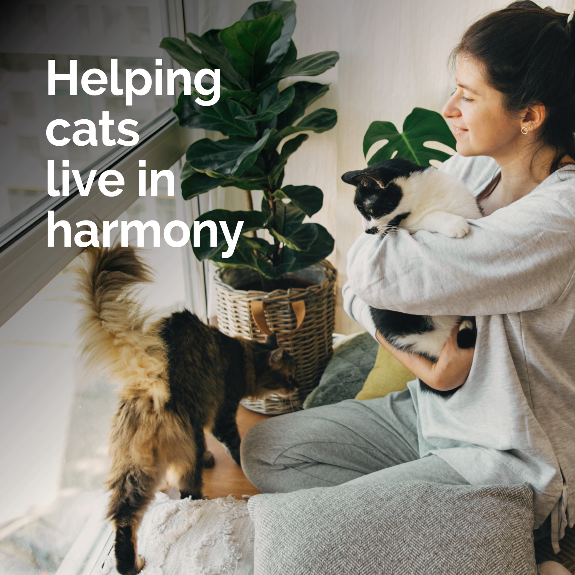 Vetality-HP-Cat-Litter-Box-Diffuser-Lifestyle