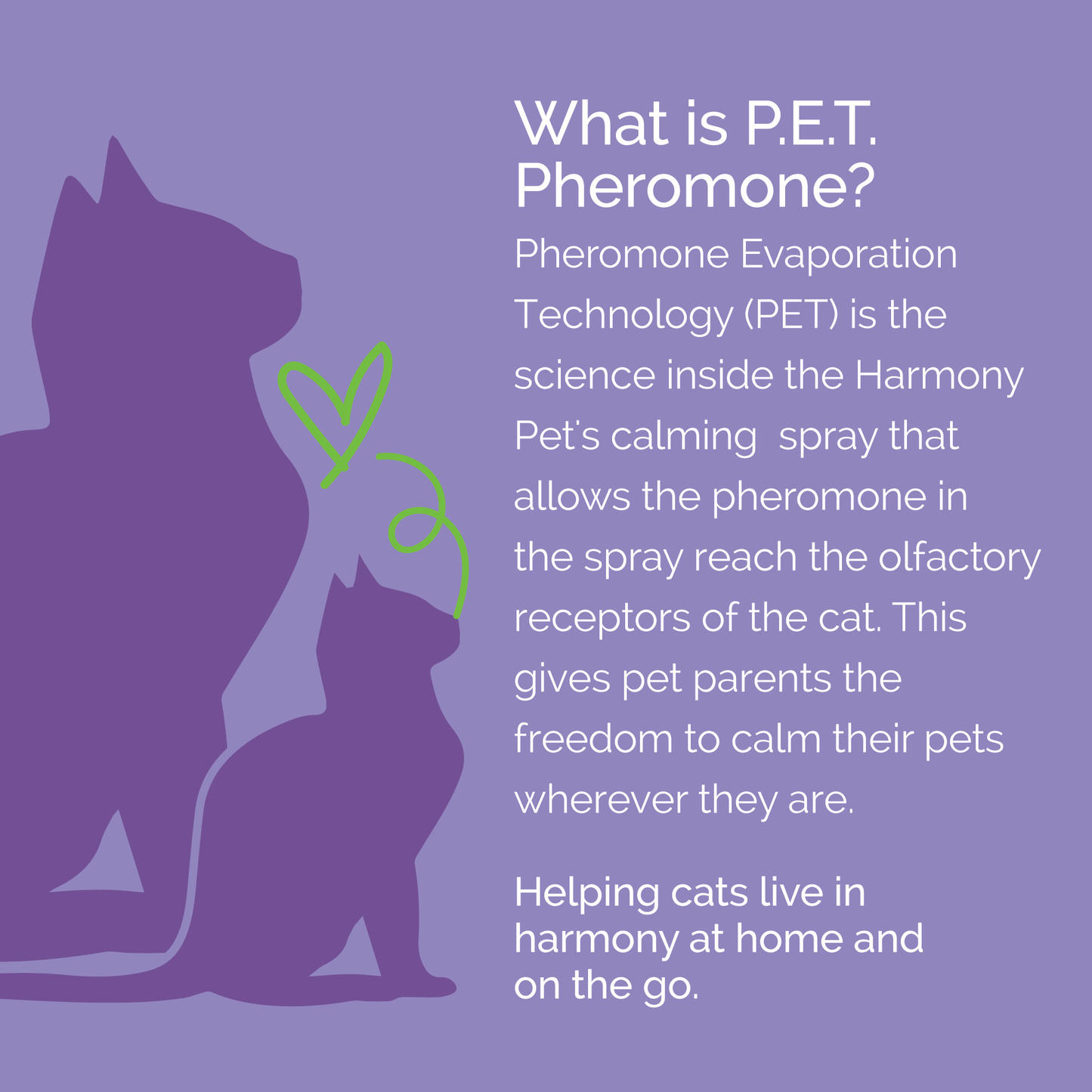 Vetality-HP-Cat-Spray-PET