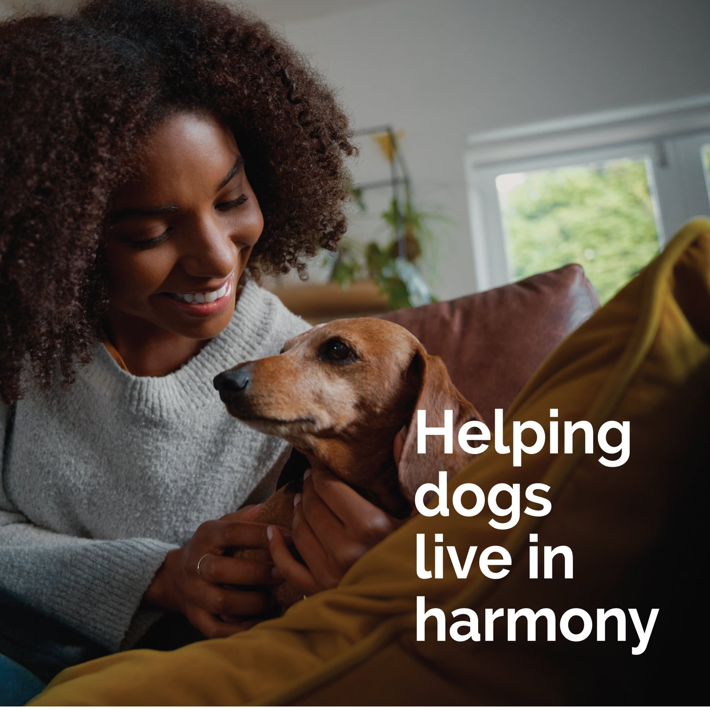 Vetality-HP-Dog-Home-Diffuser-Lifestyle