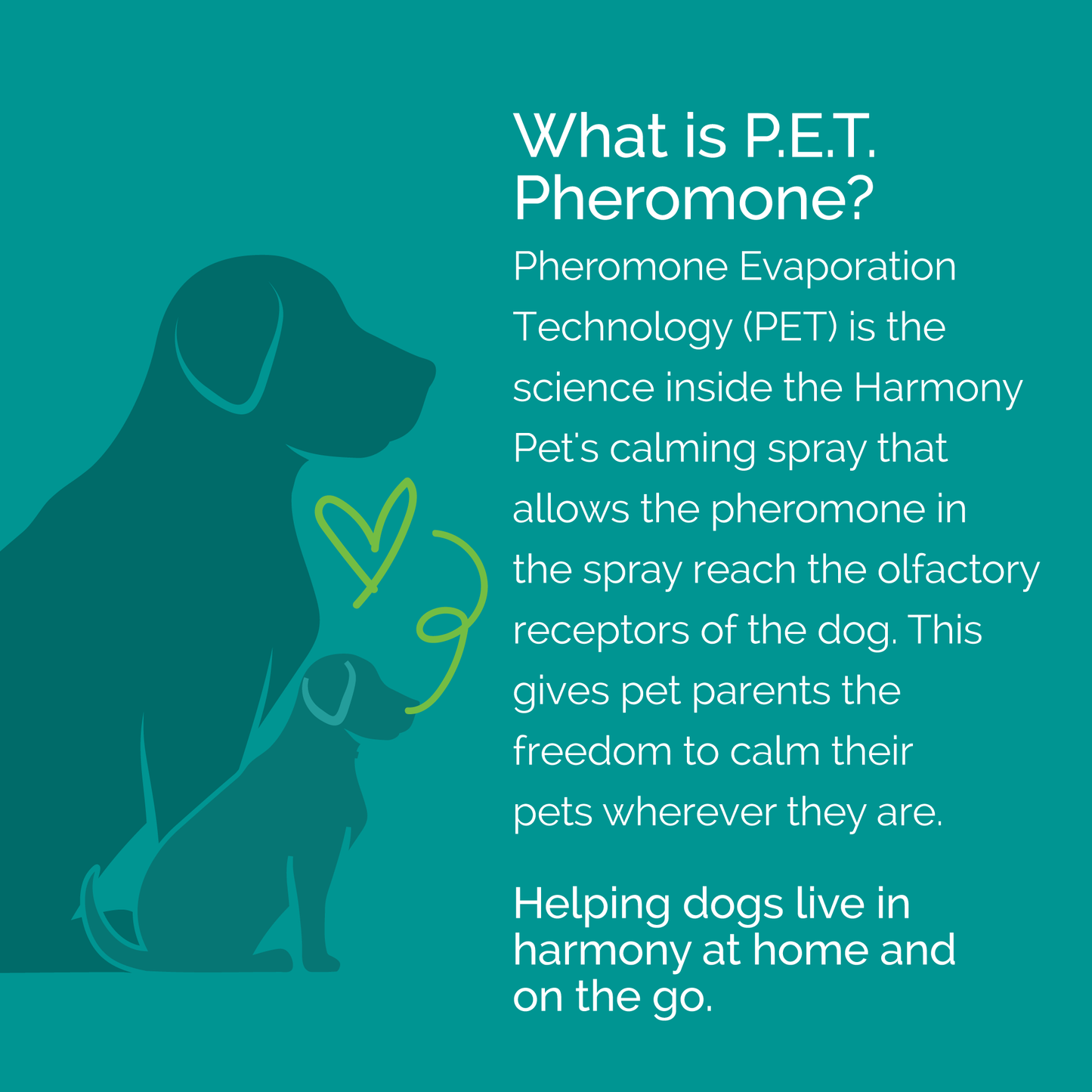 Vetality-HP-Dog-Spray-PET