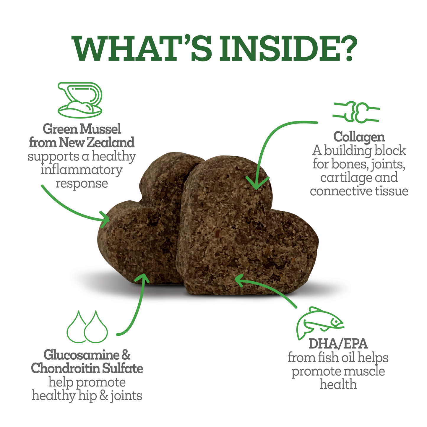 Vetality-Hip-and-Joint-Well-Chews-Whats-Inside