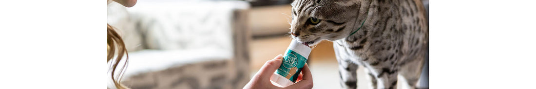 Tevra Brands Introduces Vetality® Brush Free Twist + Lick™ Dental Gel for Cats: A Brush-Free Solution Designed for Today's Fast-Growing Cat Market