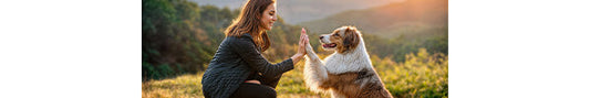 What Pet Parents Are Really Looking For