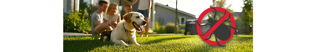 America's Tick Problem Is Growing: What Pet Owners Need to Know in 2026