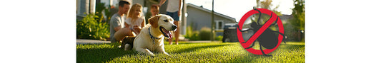America's Tick Problem Is Growing: What Pet Owners Need to Know in 2026