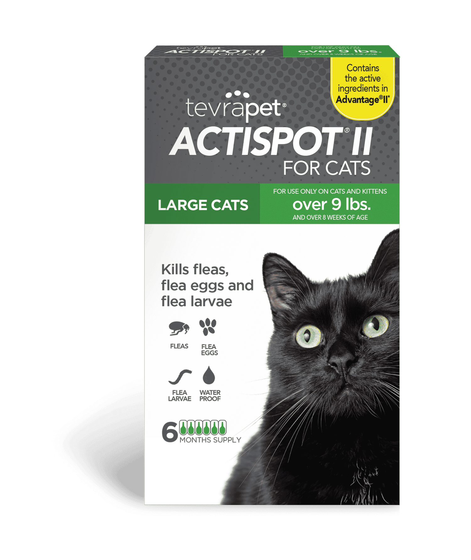 00071 TP Actispot Cat over 9 front NEW HERO